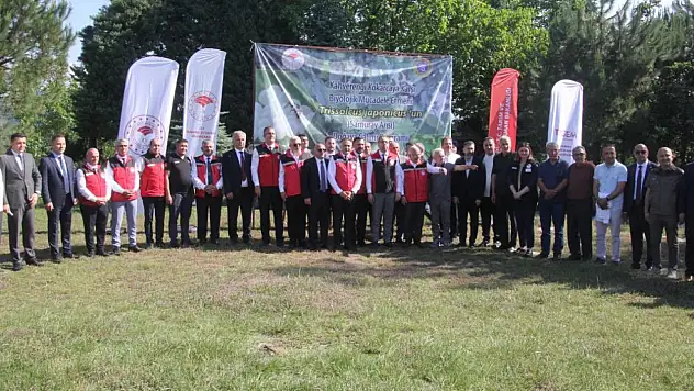 Türkiye'de kahverengi kokarcaya karşı düğmeye basıldı !