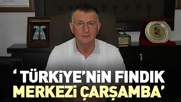 ' Türkiye'nin fındık merkezi Çarşamba'