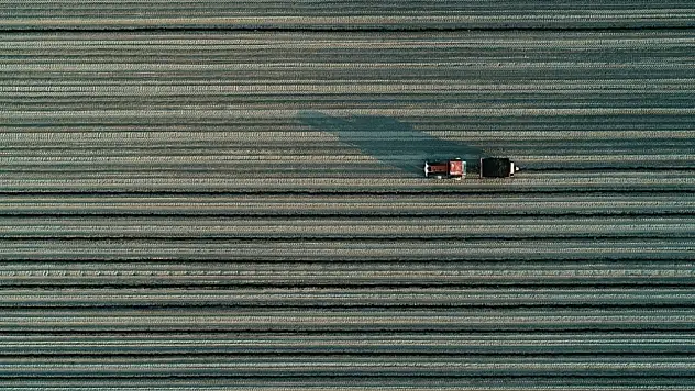 Türkiye'nin Organize Tarım Bölgeleri Yaygınlaşıyor