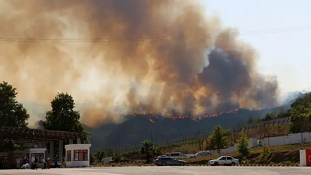 Türkiye - Suriye sınırının sıfır noktasında orman yangını
