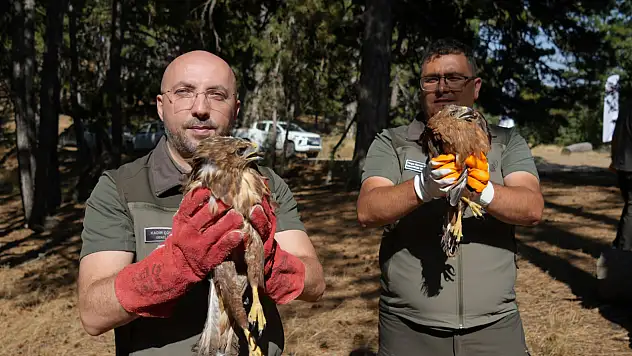 Türkiye, yaban hayatına sahip çıkıyor