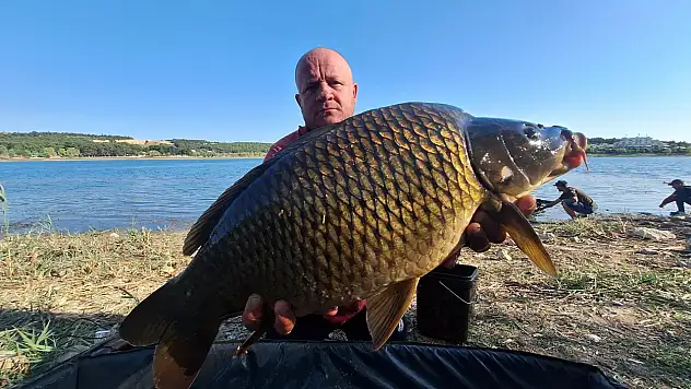 Tuttukları devasa sazanları suya bıraktılar