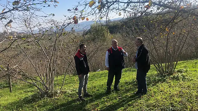 Üreticilere budama ve gübreleme anlatıldı