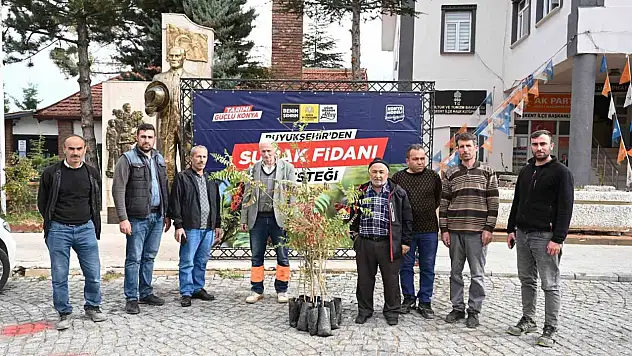 Üreticilere sumak desteği