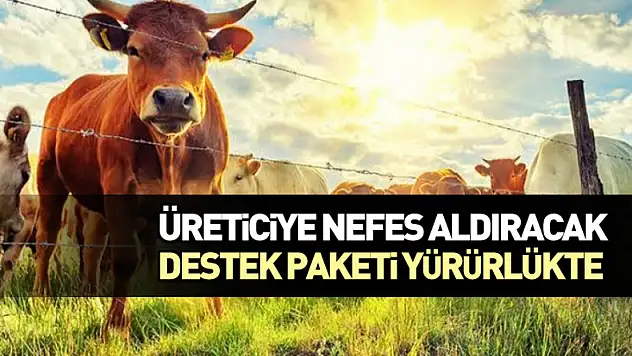 Üreticiye Nefes Aldıracak Destek Paketi Yürürlükte