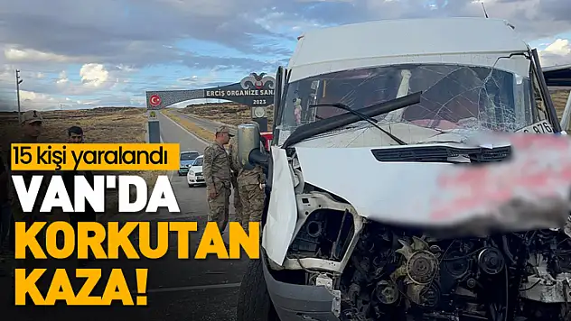 Van'da korkutan kaza!