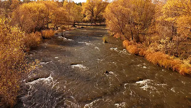 Van'daki İnci Kefali Tabiat Parkında Renk Cümbüşü