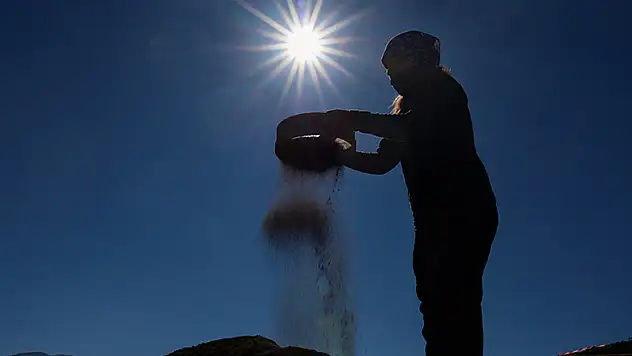 Van'daki kazılarda 5 bin yıllık karbonlaşmış arpa taneleri bulundu