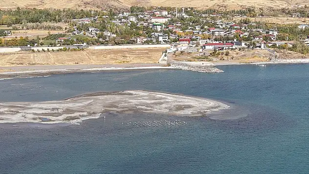 Van Gölü'nde Su Çekildi, 100 Yıllık İskele Gün Yüzüne Çıktı!