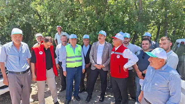 Vezirköprü'de kanola hasadı başladı