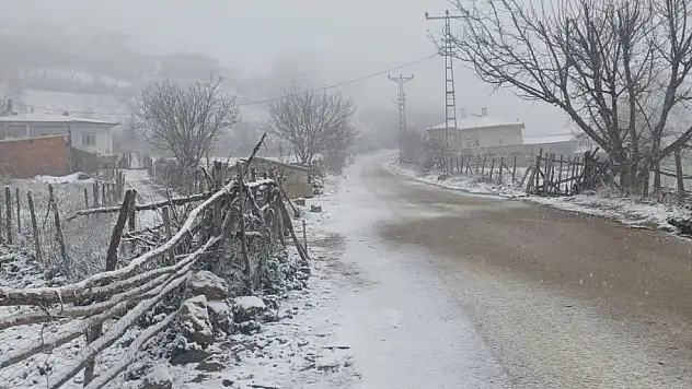 Vezirköprü'de Mevsimin İlk Karı