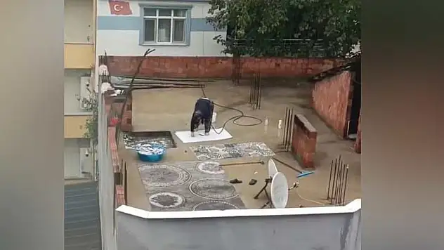 Yağmur altında halı yıkadı