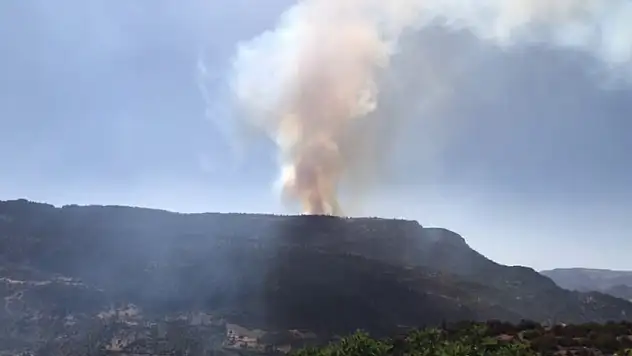 Yangına havadan ve karadan müdahale