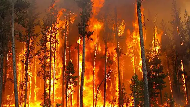 Yangında Ne Yapmalı, Ne Yapmamalı?