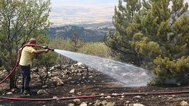 Yangında yaklaşık 2 hektar ormanlık alan zarar gördü.