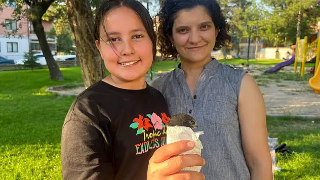 Yaralı Ebabil kuşu şefkatli ellerde