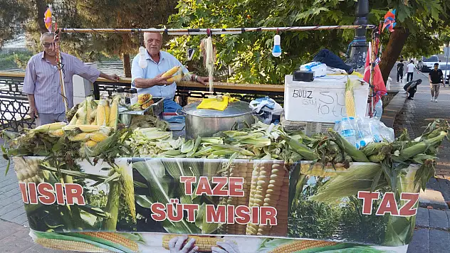 Yaz aylarının lezzeti mısır tezgahta