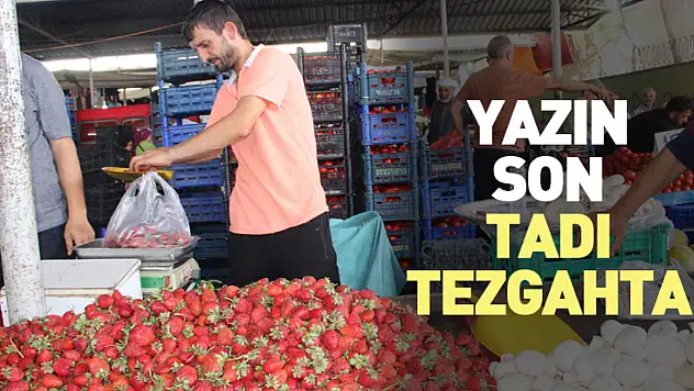Yazın Son Tadı Tezgahta
