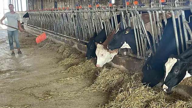 'yem dayatması'na tepki