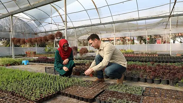 Yerel Kalkınmanın Renkli Yüzü: Muğla'nın Çiçek Projesi Büyüyor