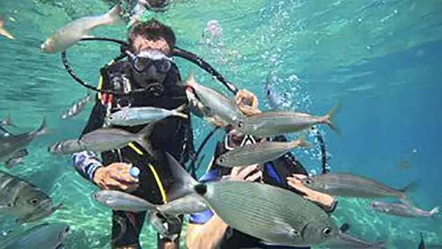 Yerli turistin ilgisi sektörü ayakta tutuyor