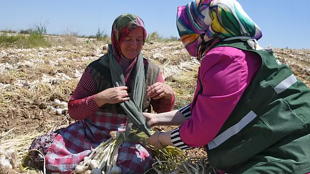 Yeşilaydan tarladaki kadınlara ziyaret