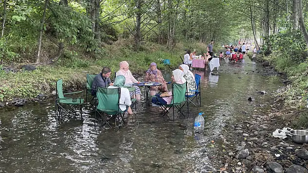 Yeşilin Kalbinde Saklı Cennet