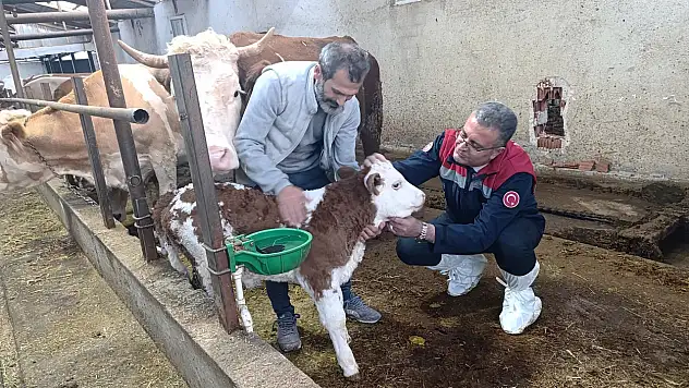 Yılmaz'dan Ladik'te Üretici Buluşması