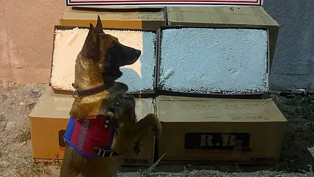 Yolcu otobüsünde kaçak makaron ele geçirildi