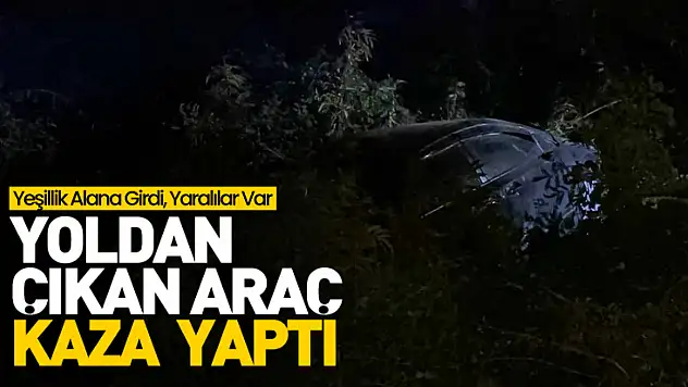 Yoldan çıkan araç kaza yaptı