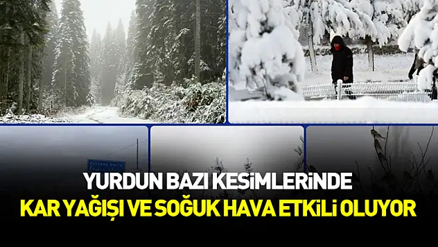 Yurdun bazı kesimlerinde kar yağışı ve soğuk hava etkili oluyor