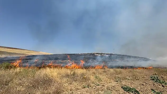 Yüzlerce dönüm arazi kül oldu
