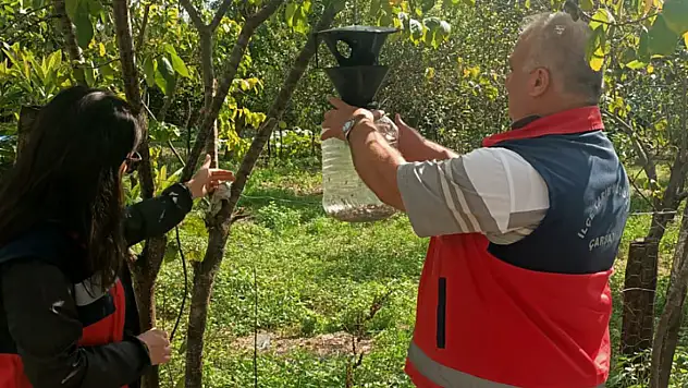 Zararlıya Karşı Büyük Hamle