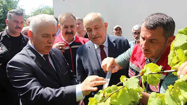 Zararlıya karşı samuraya umutla bakılıyor