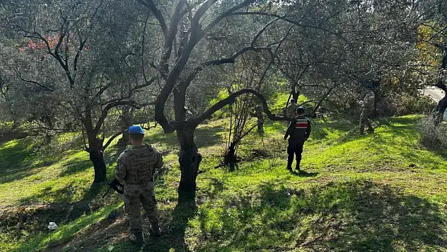 Zeytin Sezonu Başladı, Jandarma Alarmda!