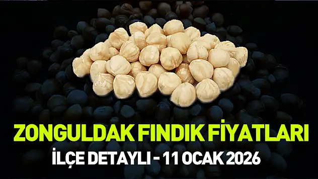 Zonguldak, Alaplı ve Ereğli Fındık Fiyatları (11 Ocak 2026)
