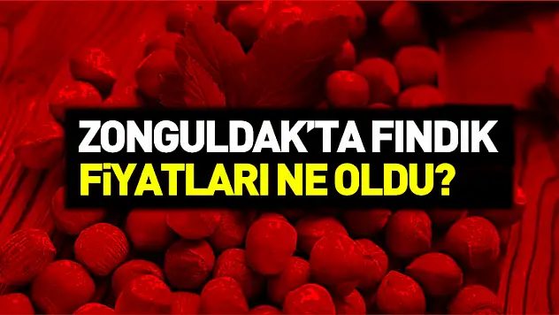 Zonguldak Fındık Fiyatları 11 Kasım 2025