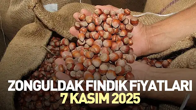 Zonguldak Fındık Fiyatları 7 Kasım 2025