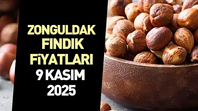 Zonguldak Fındık Fiyatları 9 Kasım 2025: Alım Talebi Artıyor