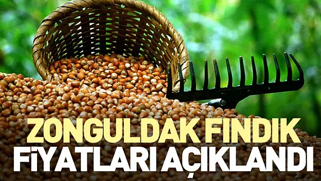 Zonguldak Fındık Fiyatları Açıklandı