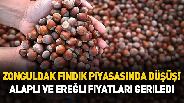 Zonguldak Fındık Piyasasında Düşüş! Alaplı ve Ereğli Fiyatları Geriledi