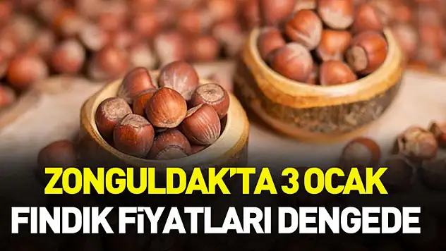 Zonguldak'ta 3 Ocak Fındık Fiyatları Dengede