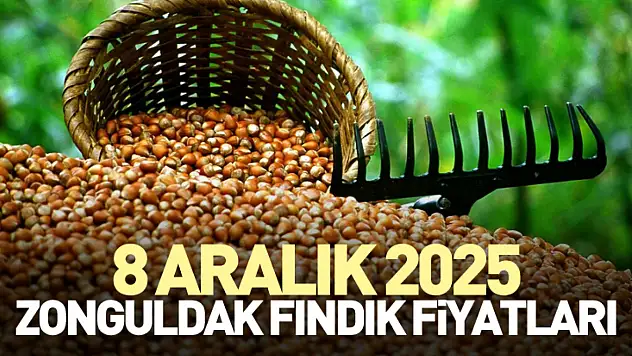 Zonguldak'ta 8 Aralık 2025 Fındık Fiyatları