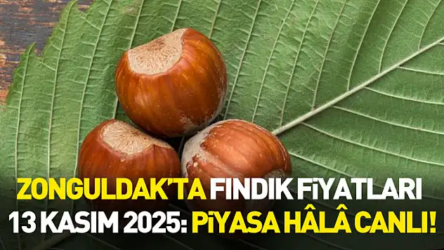 Zonguldak'ta Fındık Fiyatları 13 Kasım 2025: Piyasa Hâlâ Canlı!