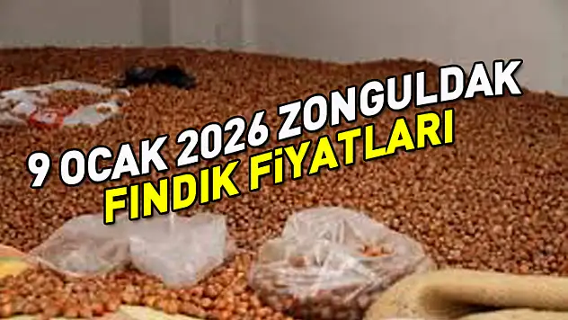 Zonguldak'ta Fındık Fiyatları Üreticinin Yüzünü Güldürüyor