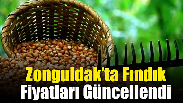 Zonguldak'ta Fındık Fiyatları Güncellendi