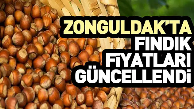 Zonguldak'ta Fındık Fiyatları Güncellendi