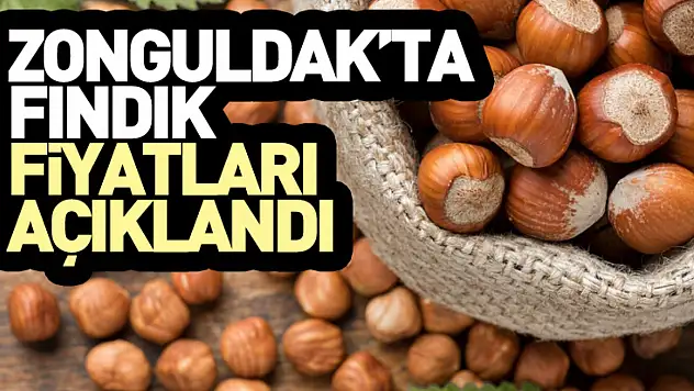 Zonguldak'ta Fındık Fiyatları İlçelere Göre Şekilleniyor