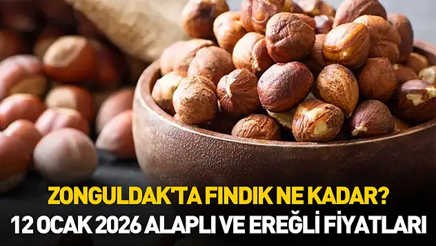 Zonguldak'ta Fındık Ne Kadar? 12 Ocak 2026 Alaplı ve Ereğli Fiyatları