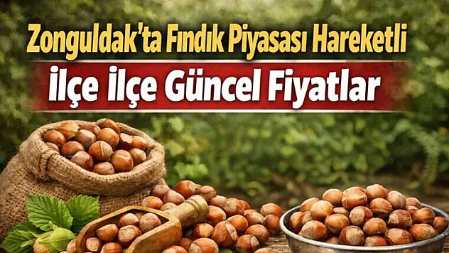 Zonguldak'ta Fındık Piyasası Hareketli: İlçe İlçe Güncel Fiyatlar